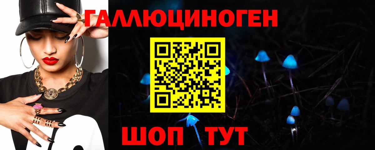 Кыштым  Галлюциногенные грибы Psilocybine cubensis  Вход с VPN 